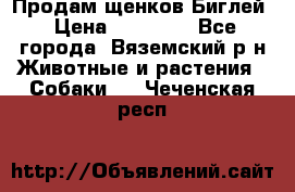 Продам щенков Биглей › Цена ­ 15 000 - Все города, Вяземский р-н Животные и растения » Собаки   . Чеченская респ.